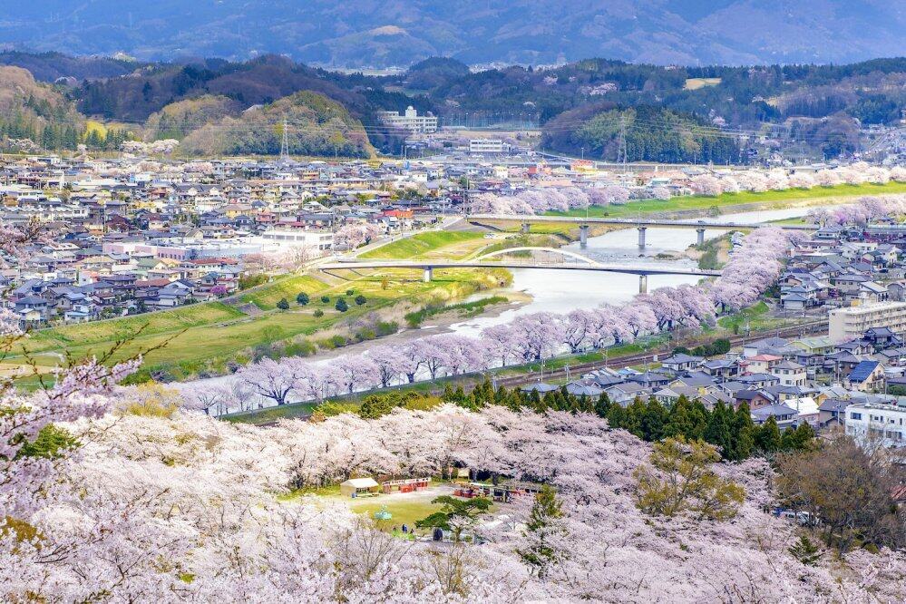 日本櫻花2026|櫻花開花及盛開最新預測+賞櫻必備App+日本三大櫻花名所