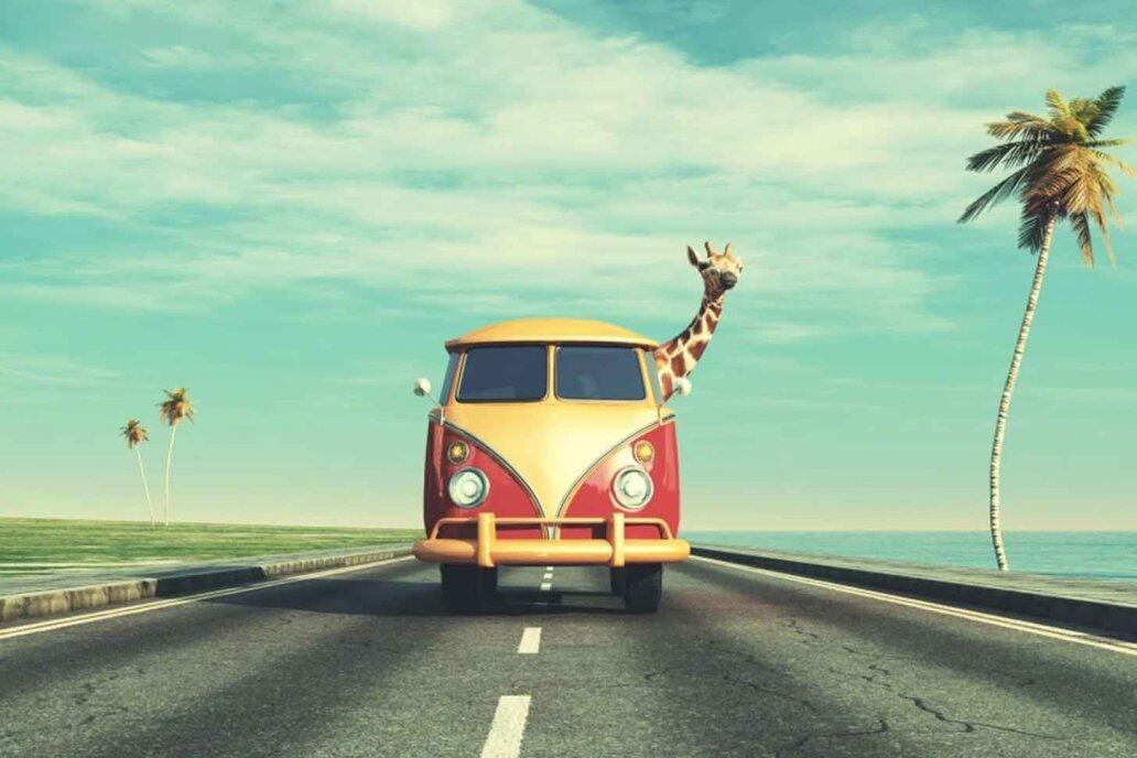 年輕的時候,我們總愛在旅行之前,看閃令令旅行書,務求要找到最多的景