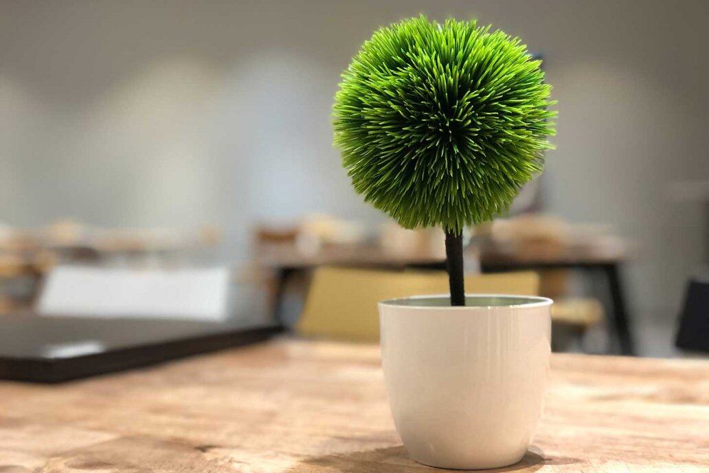 【辦公室命理學】辦公室植物攻略!應如何揀選植物?哪些植物會中伏?