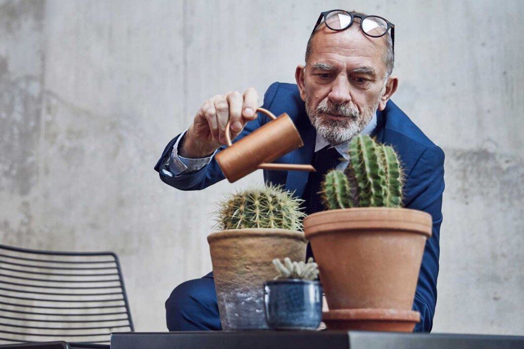 【辦公室命理學】辦公室植物攻略!應如何揀選植物?哪些植物會中伏?