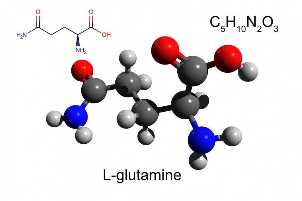 L-Glutamine左旋穀氨醯胺是甚麼?L-Glutamine功效、怎麼吃一文睇清 + iHerb網購L-Glutamine推薦
