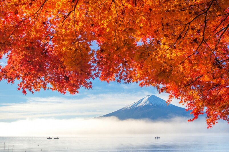 日本紅葉預測2023出爐｜東京、大阪、京都、北海道、九州、四國賞紅葉必讀！你不能錯過楓葉最紅的日子