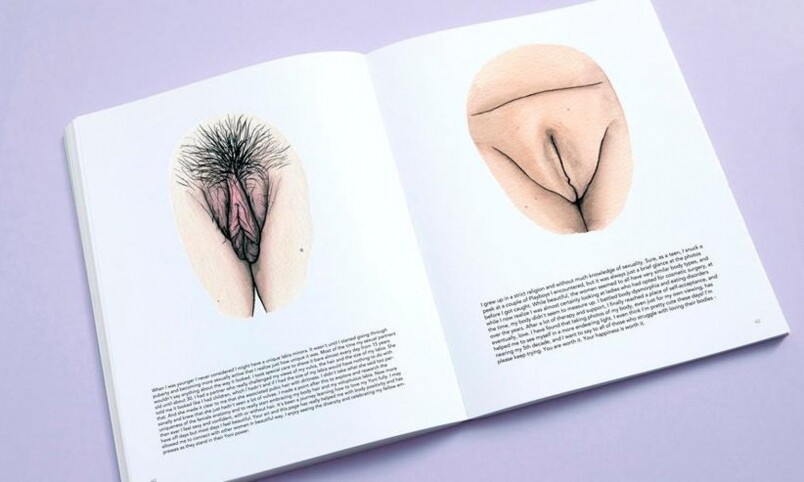 荷蘭插畫家Hilde Atalanta將過百不同外表女性陰部繪下來！打破固有形象為禁忌鬆綁