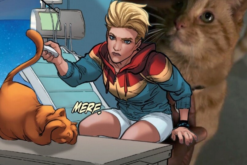 《Captain Marvel》預告小彩蛋！MARVEL隊長隻貓都有料到？