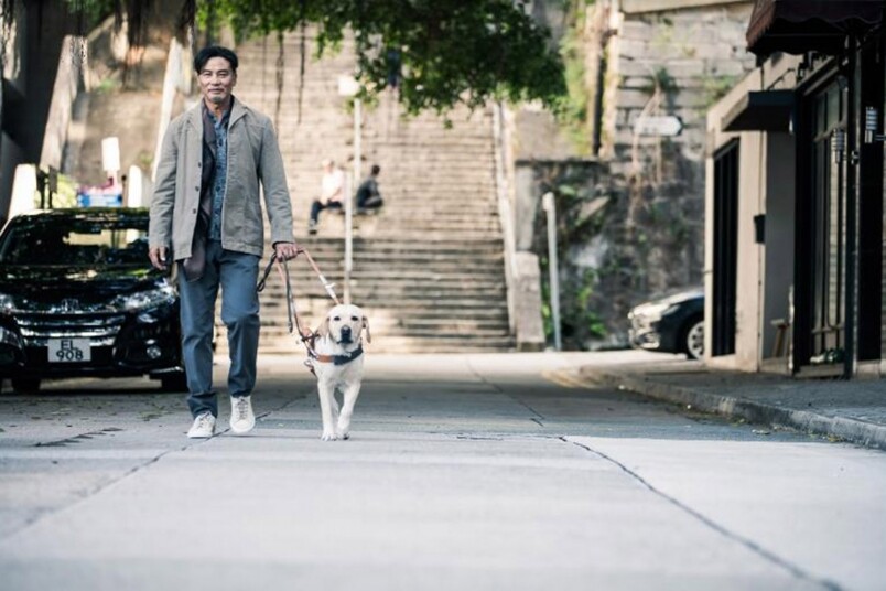 香港版導盲犬《小Q》丨在狗狗的世界中丨主人就是牠的全部
