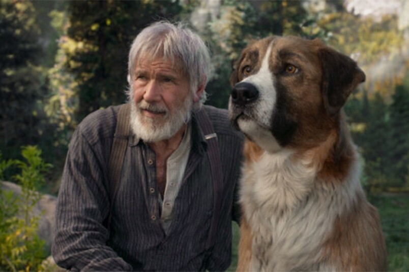 《極地守護犬》征服逆境冒險 老人與狗一起展開未知之旅