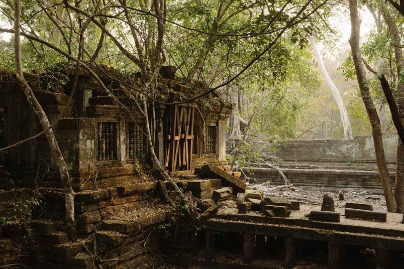 崩密烈就仿如熱帶雨林中的一座遺址,遺留下來的建築與樹木融為一體 崩密烈就仿如熱帶雨林中的一座遺址,遺留下來的建築與樹木融為一體