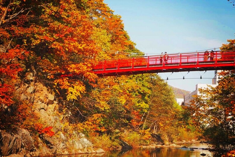 【日本賞紅葉攻略】北海道必去的定山溪及青池！絕對是人間仙境