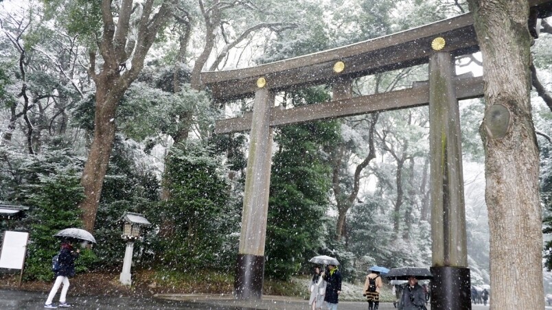 東京大家就去得多，但下了雪的東京你又有看過嗎？東京經歷了雪的洗禮