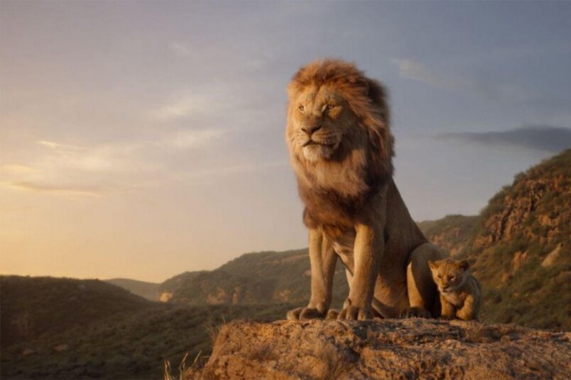 《獅子王》教曉我們的人生哲理：犯錯後勇敢再次站在眾人面前 你就是王者！