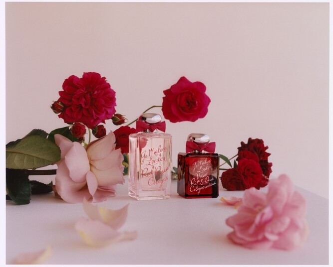Jo Malone Red Roses x Velvet Rose & Oud Jo Malone Red Roses x Velvet Rose & Oud