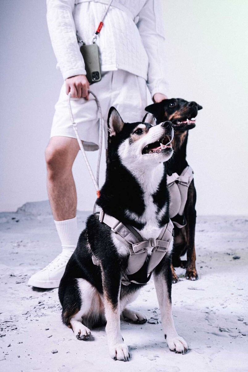 The harness 胸背帶 The harness 胸背帶
