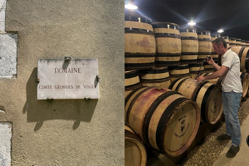 Burgundy 勃艮地 葡萄酒莊