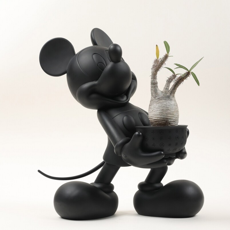 全球首款米奇老鼠配以塊根植物丨本地團隊三方聯乘推出香港限定40cm全黑魂MICKEY MOUSE＋一系列周邊服飾