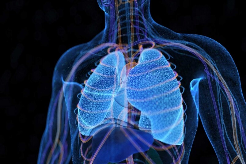腹式呼吸教學｜腹式呼吸5大對身體的好處！基本腹腔式呼吸法原理及練習方法