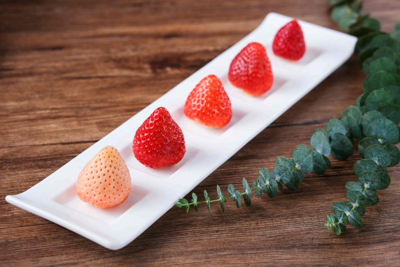 日本5款高級草莓品種拼盤