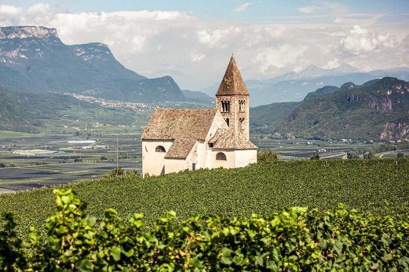 Alto Adige產區有甚麼特別？