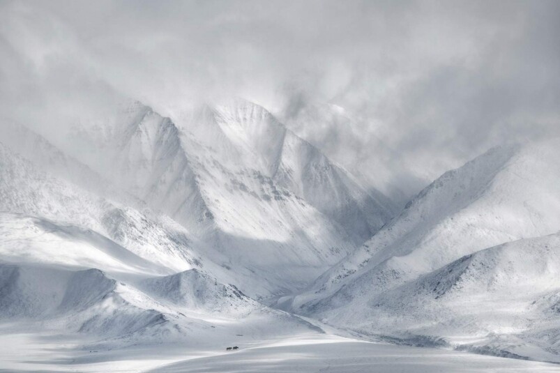 澳洲攝影師Ricardo Da Cunha拍下的雪景,一片白茫茫的世界之中,下方有兩隻動物 澳洲攝影師Ricardo Da Cunha拍下的雪景,一片白茫茫的世界之中,下方有兩隻動物