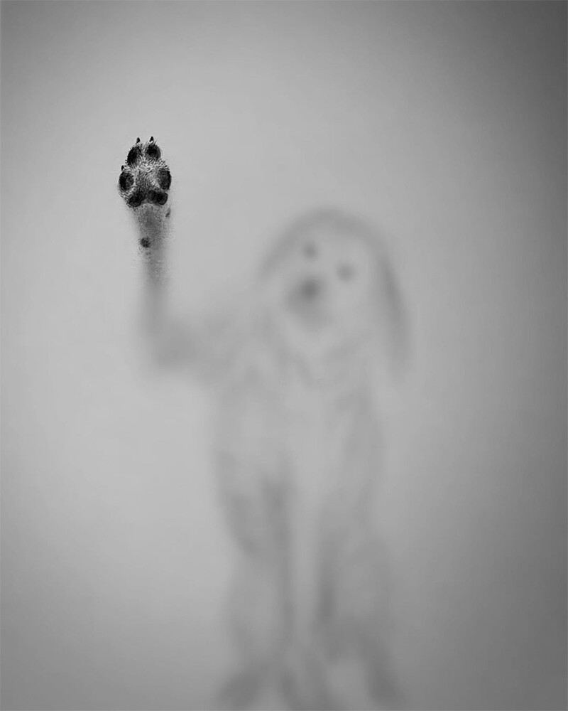 插畫家Willie Hsu 以鉛筆描繪幽靈 我們與死亡的距離？