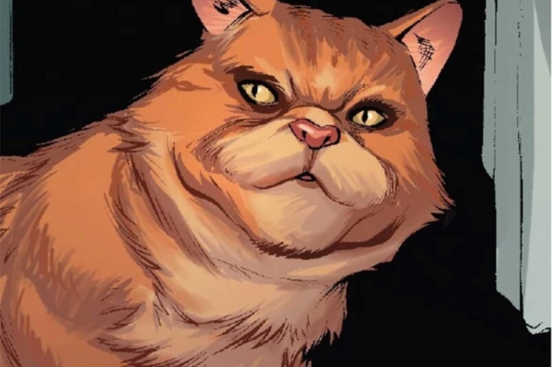 漫畫中Captain Marvel的貓貓與《Star Wars》有關？