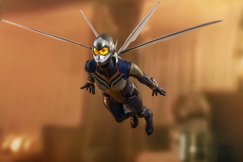 wasp wasp
