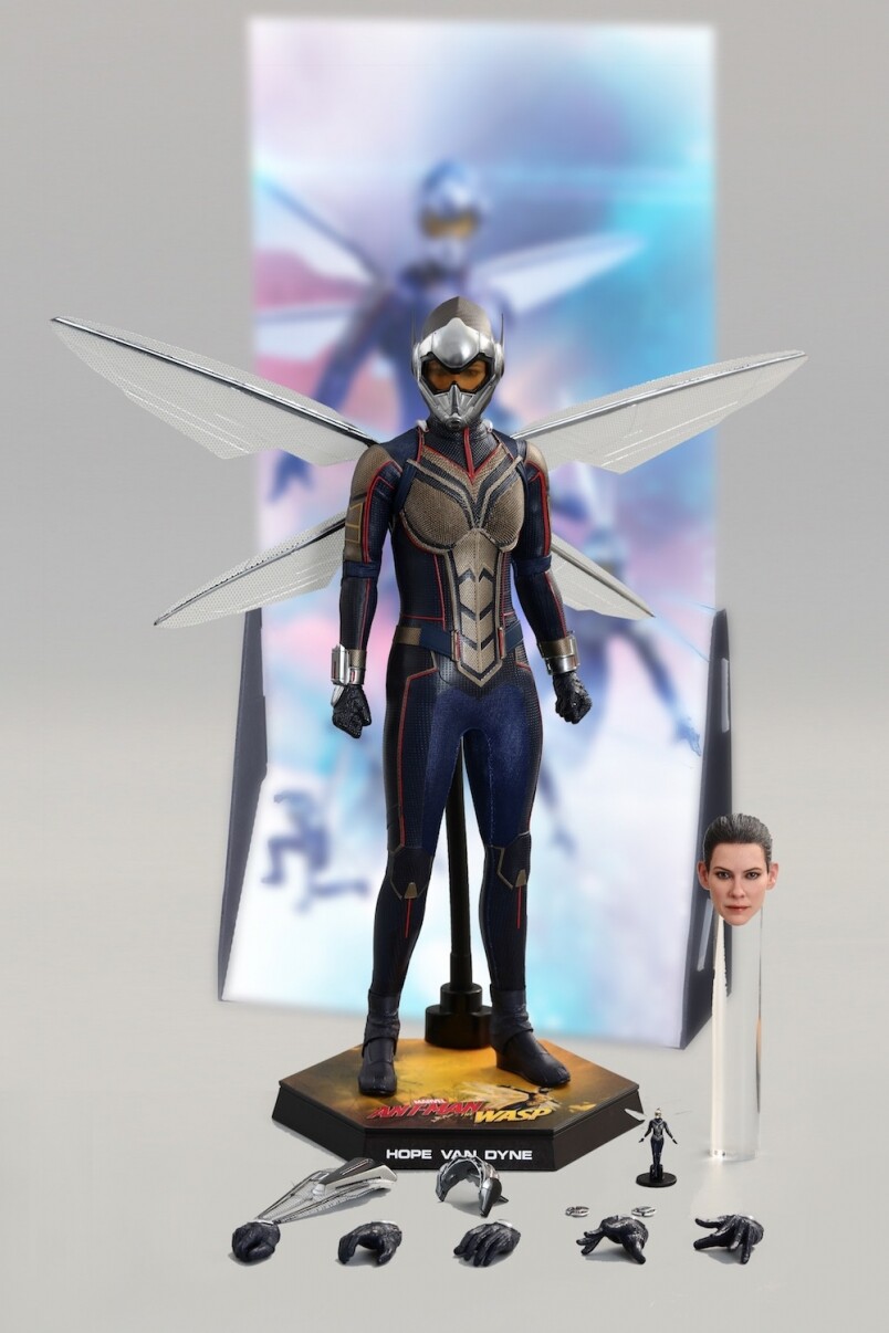 wasp wasp