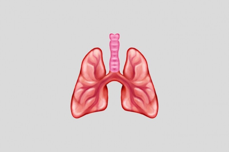 全香港人都被武漢肺炎所困擾，大家最關心的肯定是「肺」，而近日聽得最多