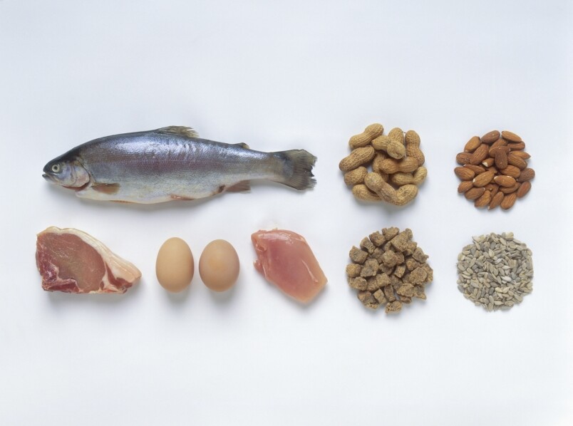 減肚腩練腹肌必食食物 －蛋白質