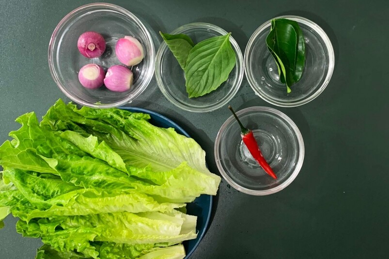 中階簡易煮法-雞肉生菜包 中階簡易煮法-雞肉生菜包