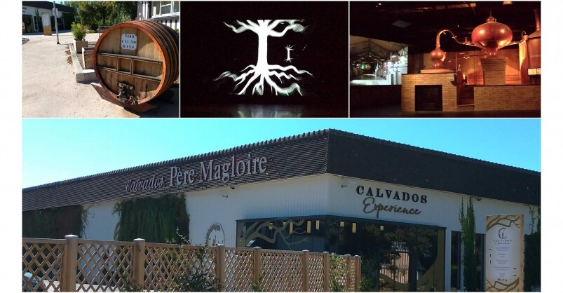 超立體Calvodos五感體驗館 超立體Calvodos五感體驗館