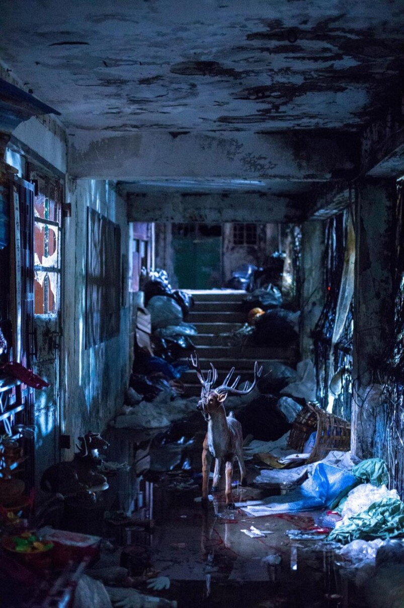 紀錄香港被遺棄的美景丨鄭保瑞執導《智齒》土瓜灣、裕民坊、華富邨取景