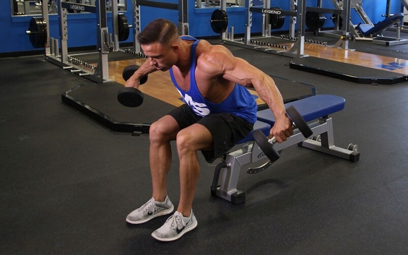 坐姿俯身側平舉(Seated Bent-Over Rear Delt Raise) 坐姿俯身側平舉(Seated Bent-Over Rear Delt Raise)