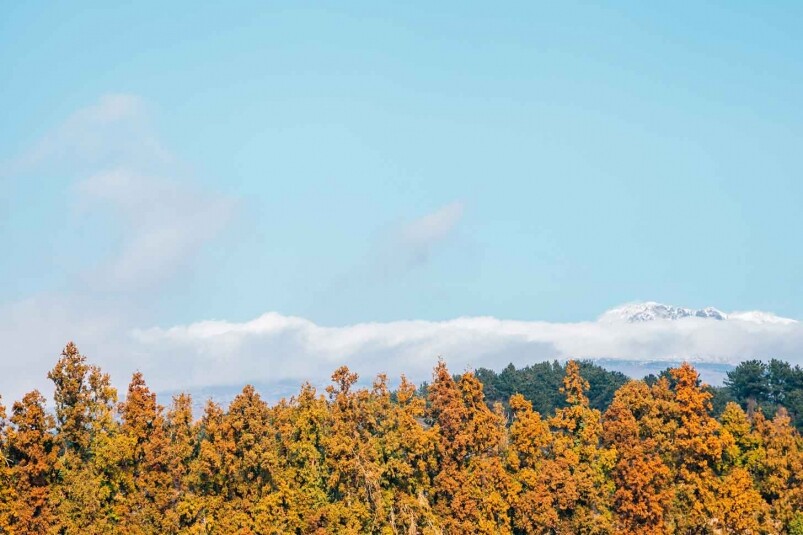 另外一個不少人都會去地方,就是濟州島,濟州島最著名的賞紅葉地點,絕 另外一個不少人都會去地方,就是濟州島,濟州島最著名的賞紅葉地點,絕
