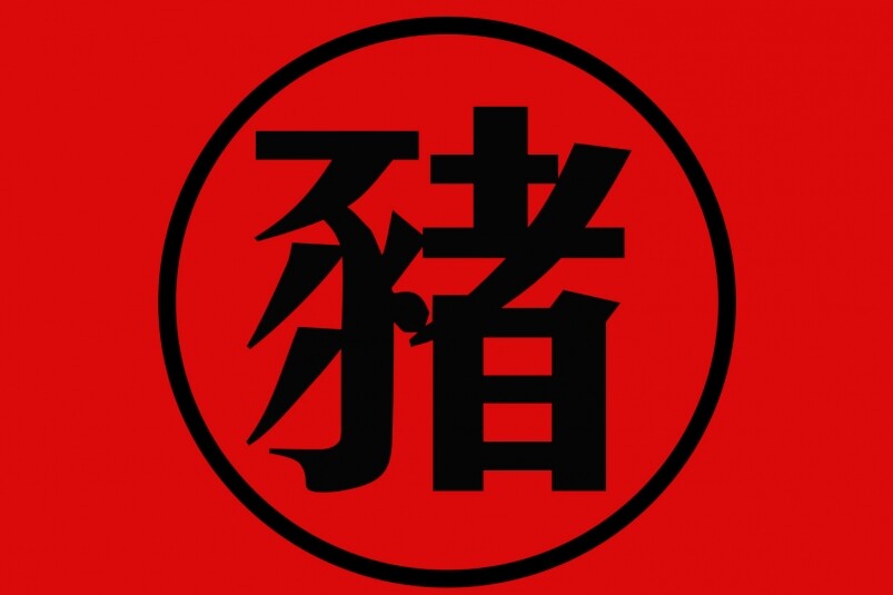 屬豬人士運程 屬豬人士運程