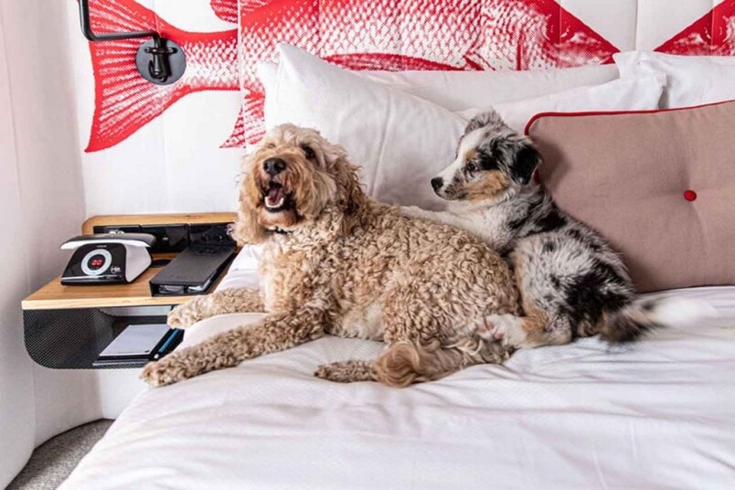 Ovolo Hotel:平玩之選 Ovolo Hotel:平玩之選