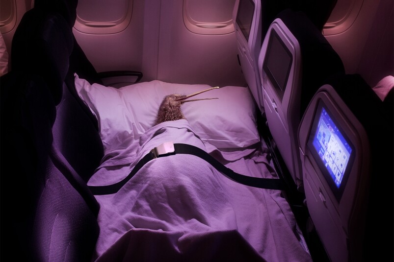 Pete’s discovered a better way to fly with Air New Zealand 7