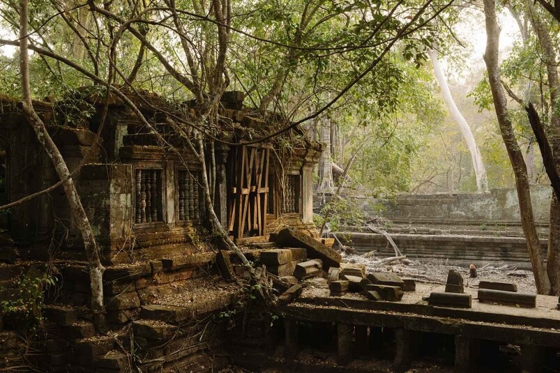 崩密烈就仿如熱帶雨林中的一座遺址，遺留下來的建築與樹木融為一體