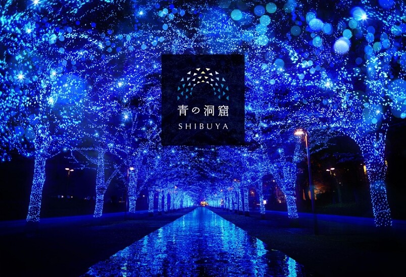曾獲得高人氣評價的「青之洞窟 SHIBUYA」今年亦在澀谷隆重登場！燈飾步道全長