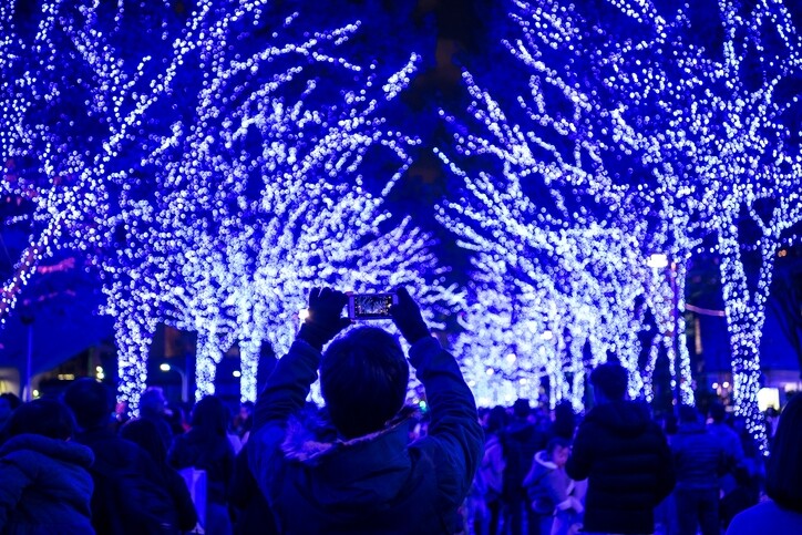 藍藍的LED燈繫在櫸木上照亮整個公園，一路走下去都覺得非常夢幻，像是