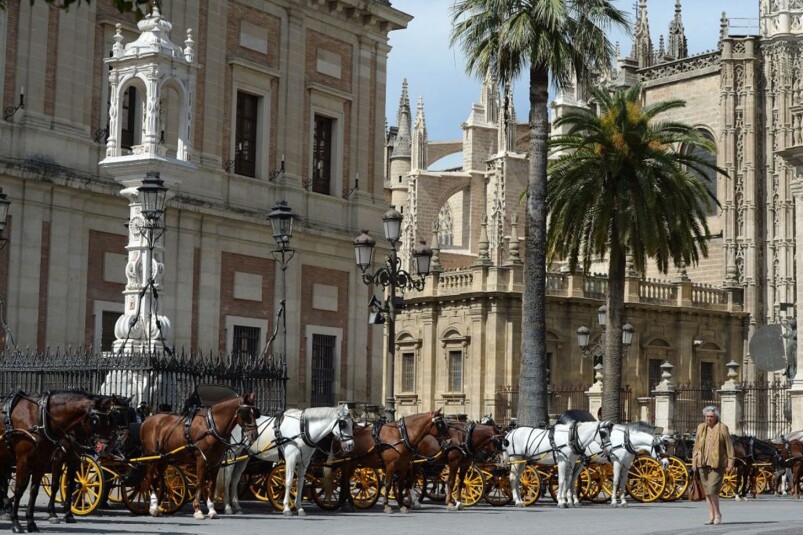 西維爾（Seville）作為西班牙第四大城市，也是不少遊客會前往觀光的城市，不過