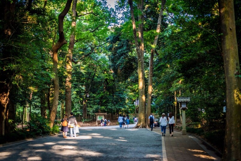 特別喜歡行公園 特別喜歡行公園