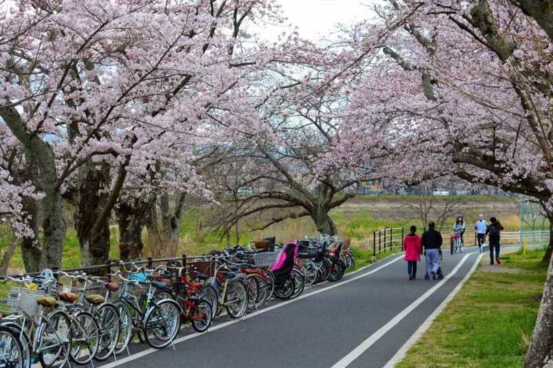 京都 單車