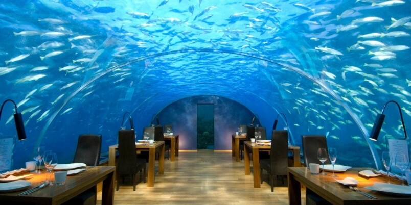 餐廳希望，其定位不是一間水族館，而是一間能令人享用盛宴和欣賞海底