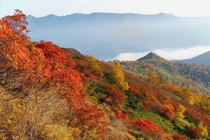 今年北海道的紅葉比往常提早了大概一周，其中大雪山附近包括黑岳、紅