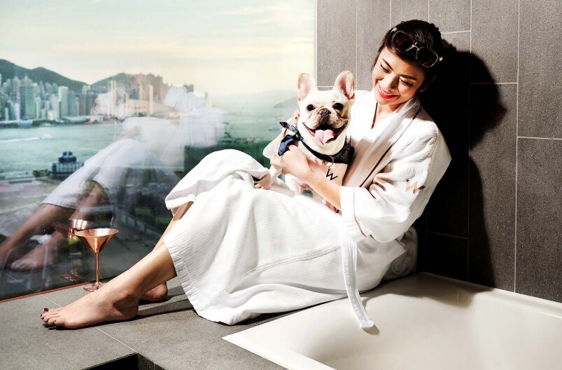 香港W Hotel最新推出的「縱寵毛孩住宿假期方案」，可以讓寵物主人攜帶心愛