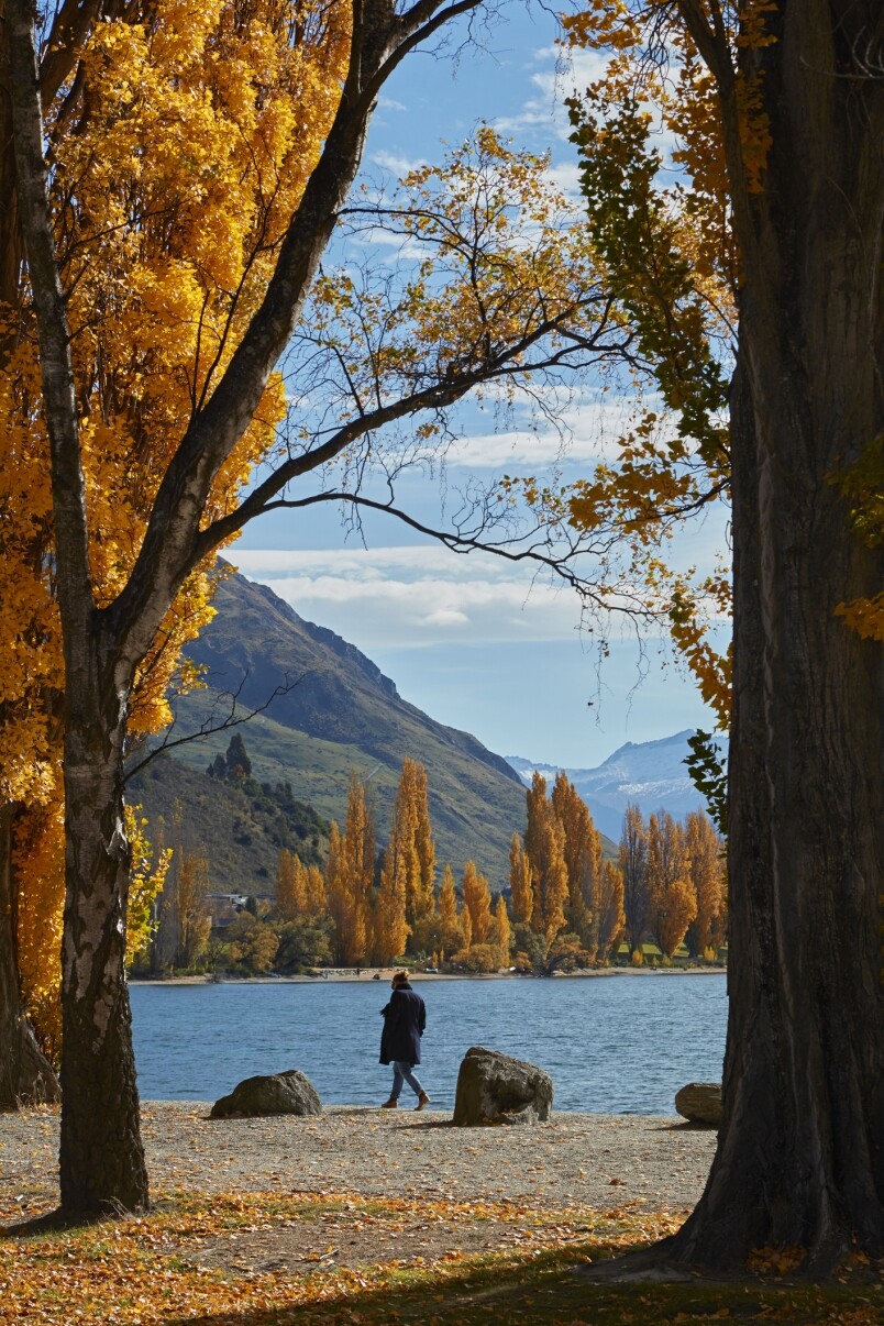 試想像在這裡圍著Wanaka湖慢步一個下午，或是坐在大石上欣賞Wanaka迷人的景