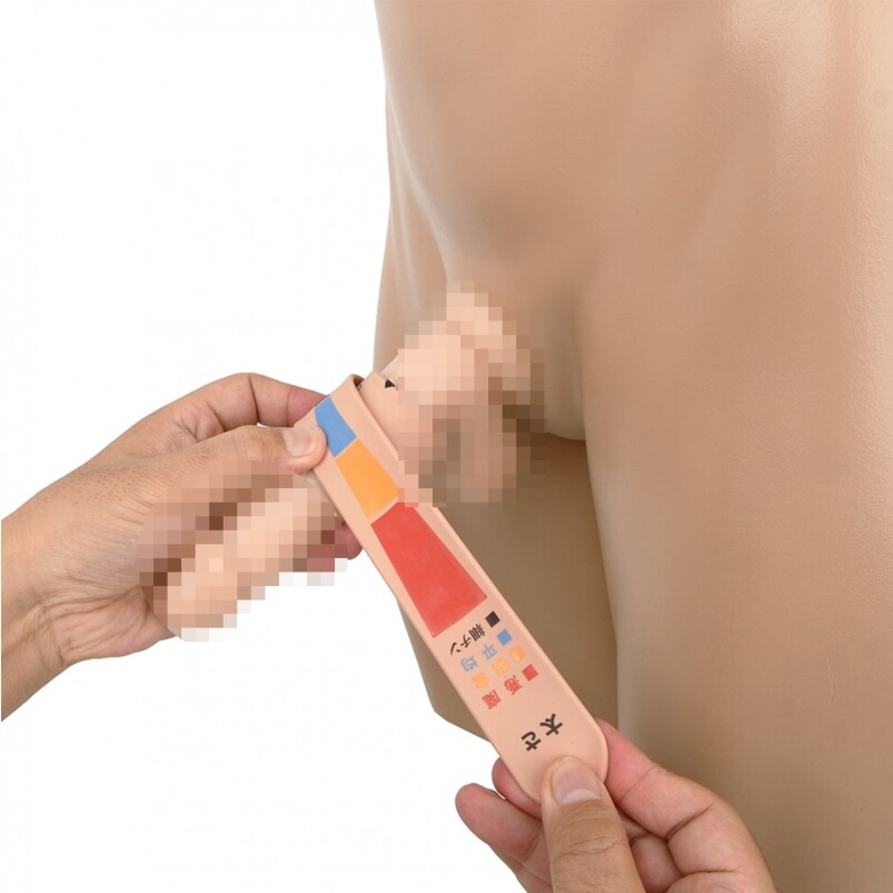 PENI HARUKA陰莖量尺的特別之處，是它除了可以量度陰莖長度，還是一把像膠帶