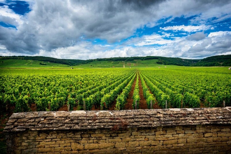 Domaine Leflaive Domaine Leflaive