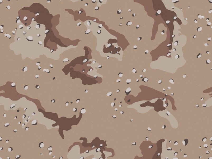 DESERT CAMOUFLAGE DESERT CAMOUFLAGE