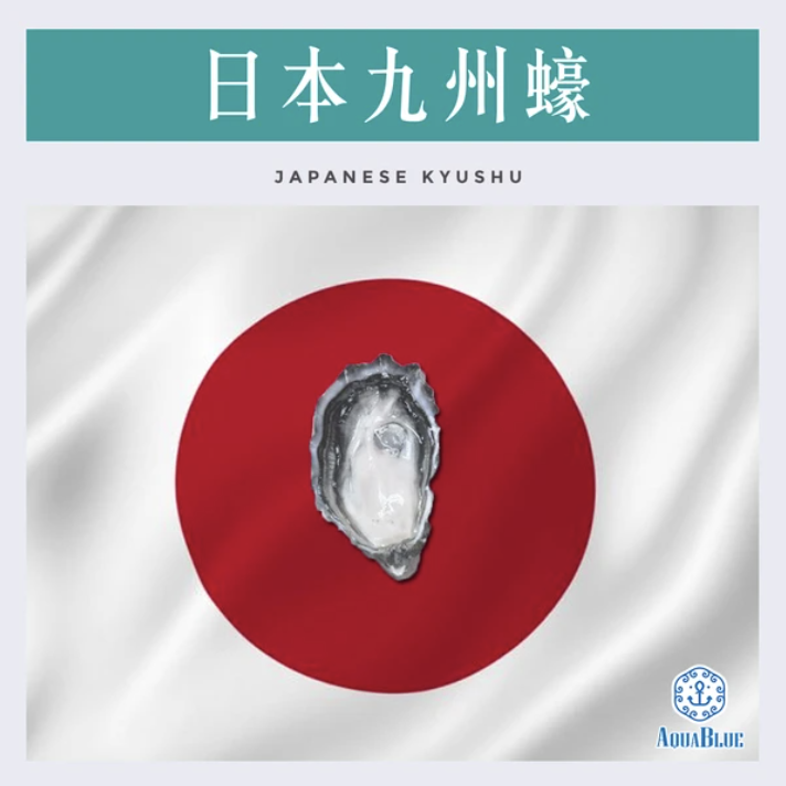 AquaBlue日本九州生蠔 Japanese Kyushu Oyster (L) $32.00